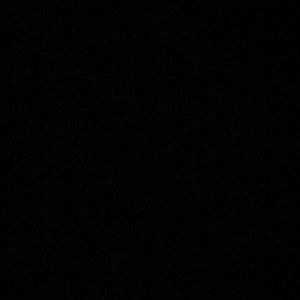 Meet your Posher, Phoebe